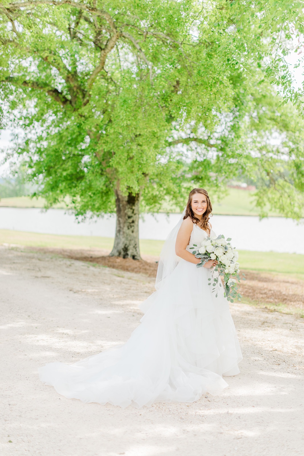 Beautiful bride with an old oak tree in full bloom in the background